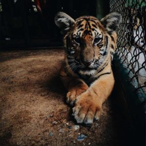 Location Velo Electrique - Journee