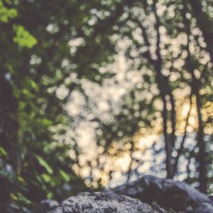 Rituel Hammam et Gommage